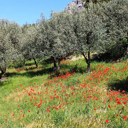 Maison Avec Vue Sur La Montagne A Sur Le Buis Piscine Privee Holiday home
